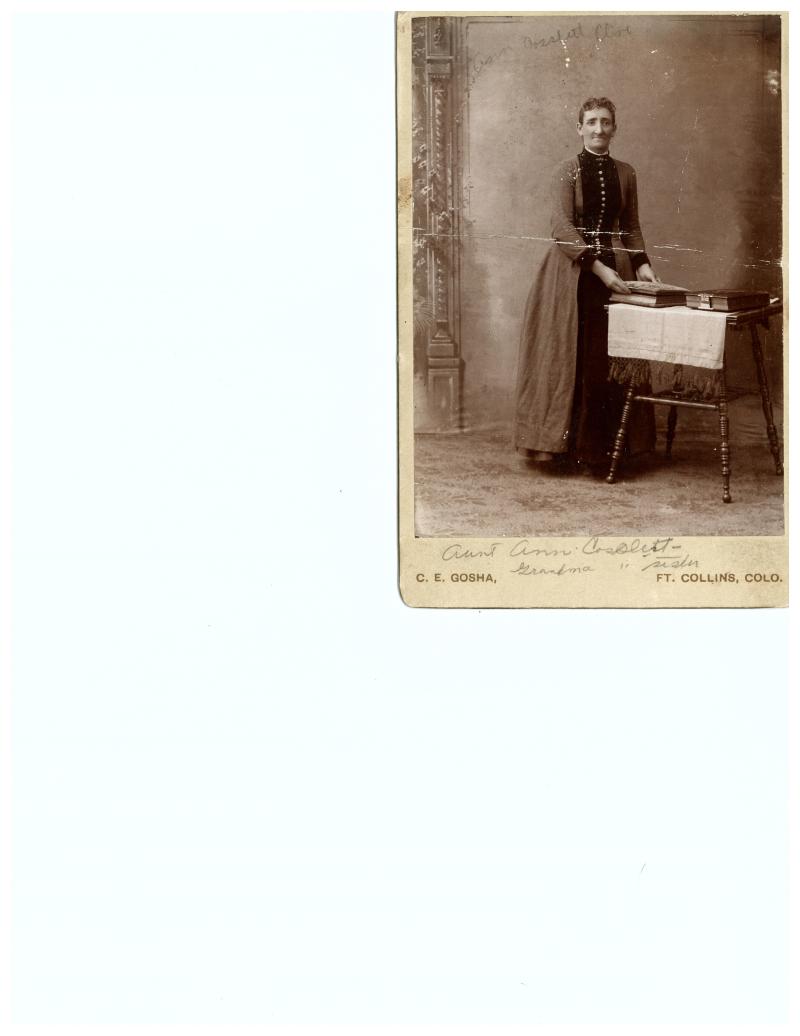 Ann Cosslett (1839 - 1901) Profile